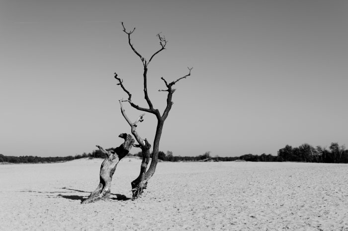 arid-barren-black-and-white-1161768