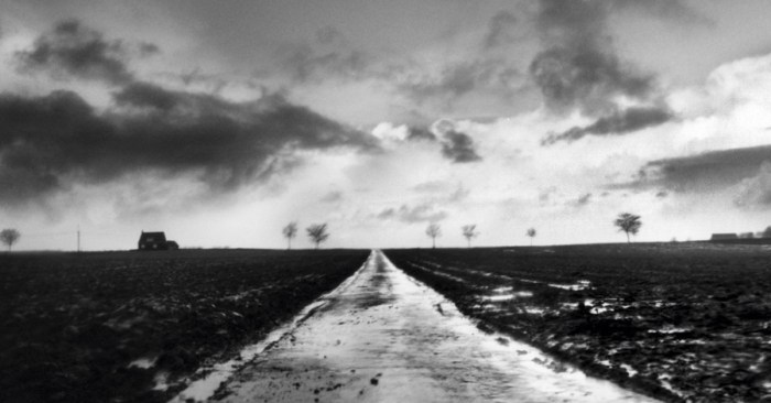 Oorlog en terpentijn